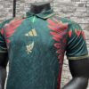 MEXICO 25-26 HOME